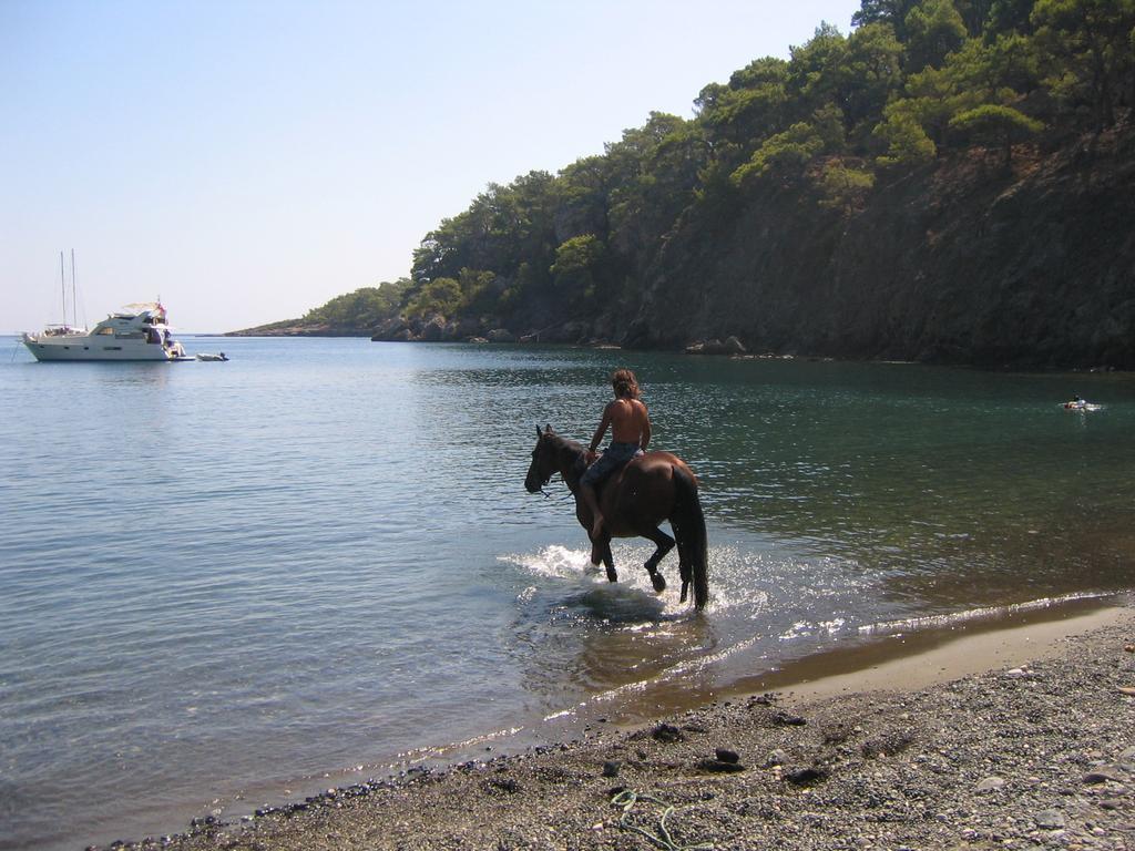 Hotel Berke Ranch&Nature Kemer Exterior photo